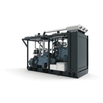 Natural Gas Engine Power